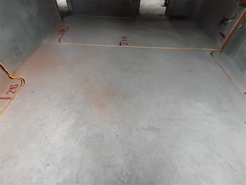 IMG_20241031_085159.jpg
