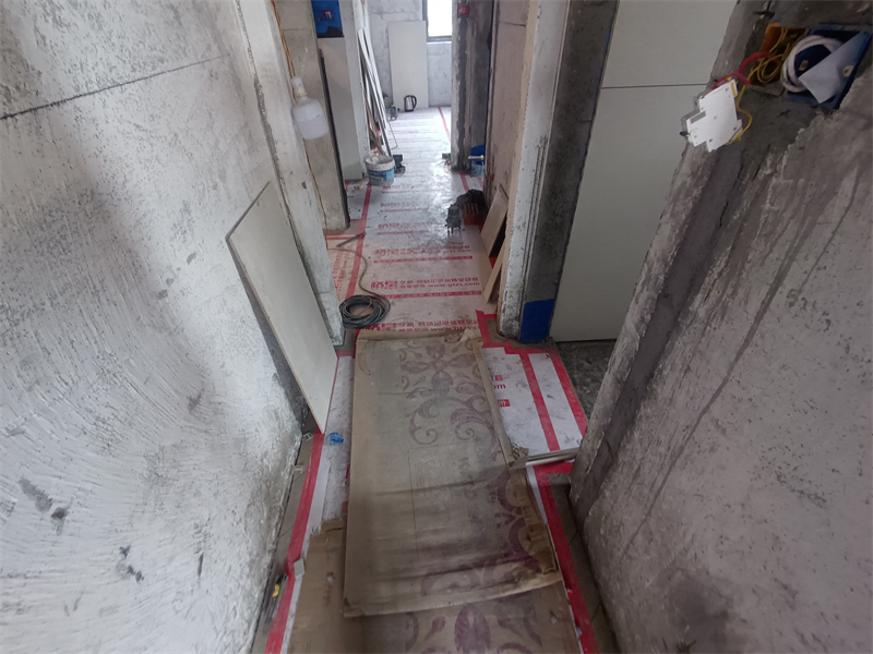 IMG_20241030_102102.jpg
