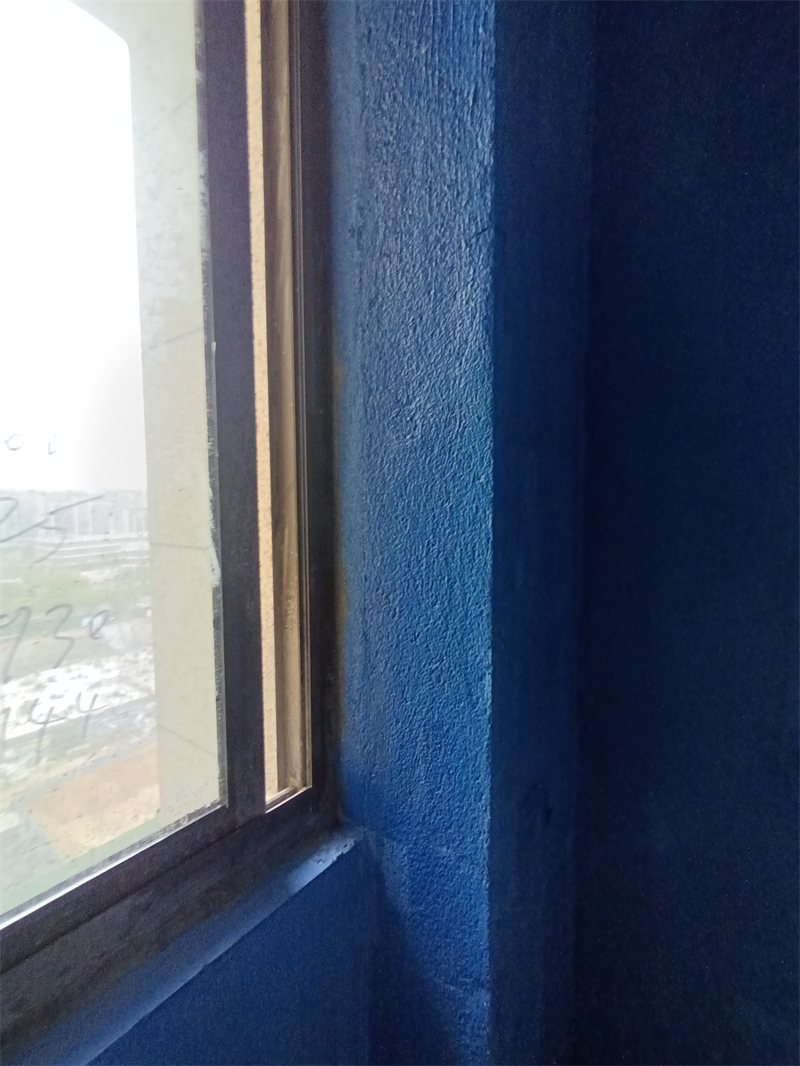 IMG_20241031_142415.jpg