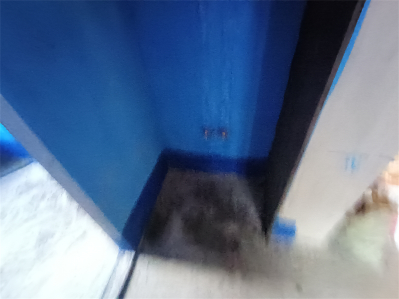 IMG_20241031_151951.jpg