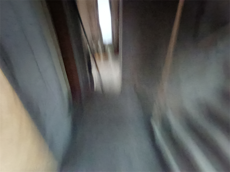 IMG_20241101_081858.jpg