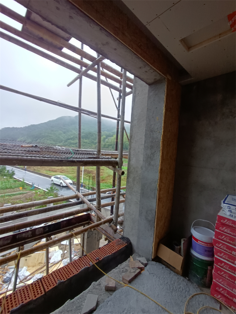 IMG_20241101_082225.jpg