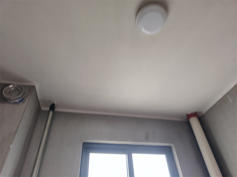 IMG20241102083509.jpg