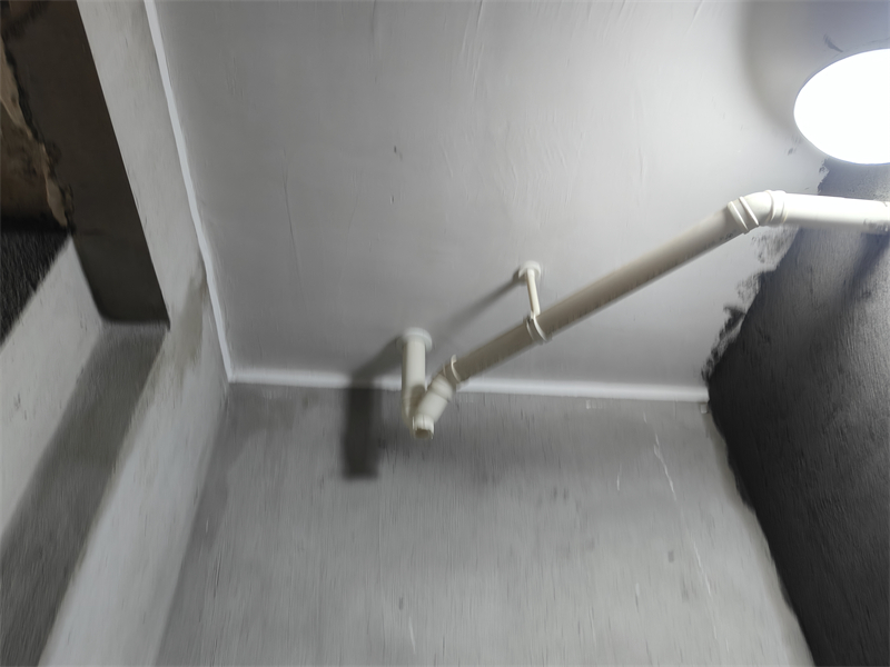 IMG20241102084746.jpg