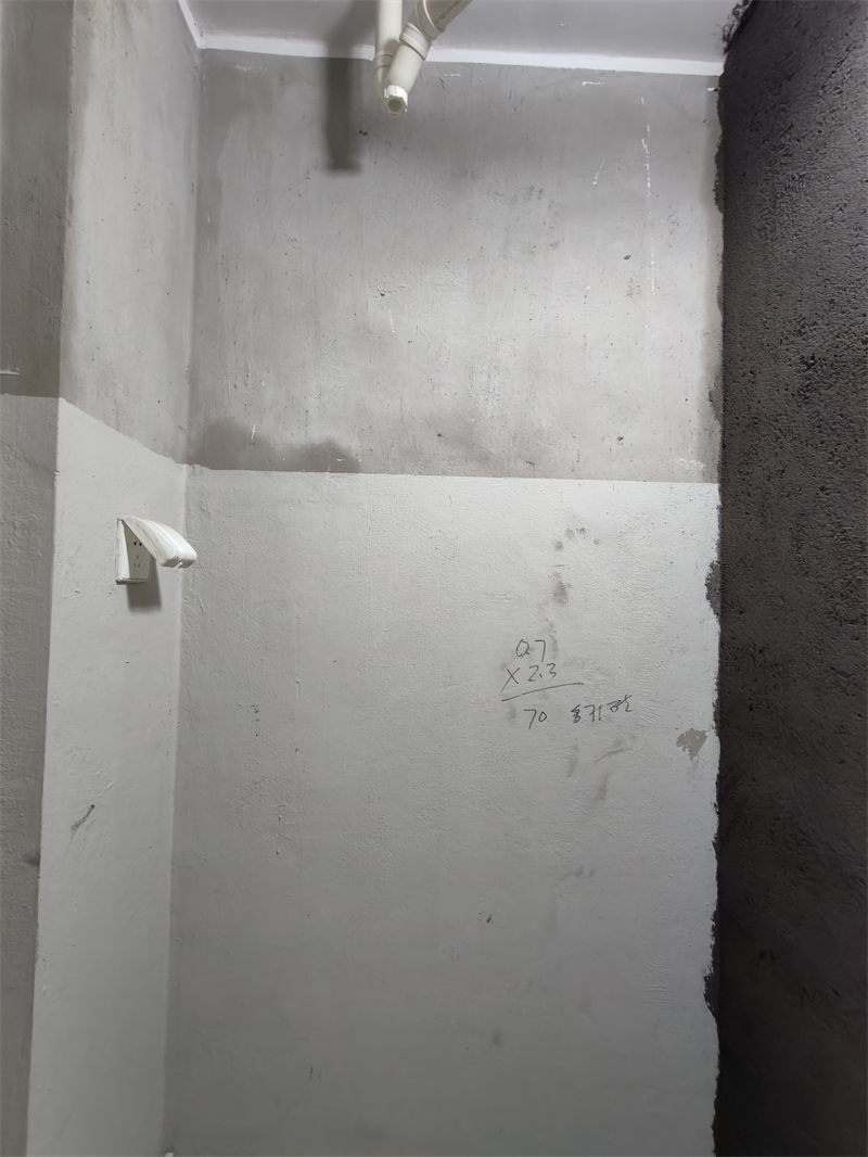 IMG20241102084813.jpg