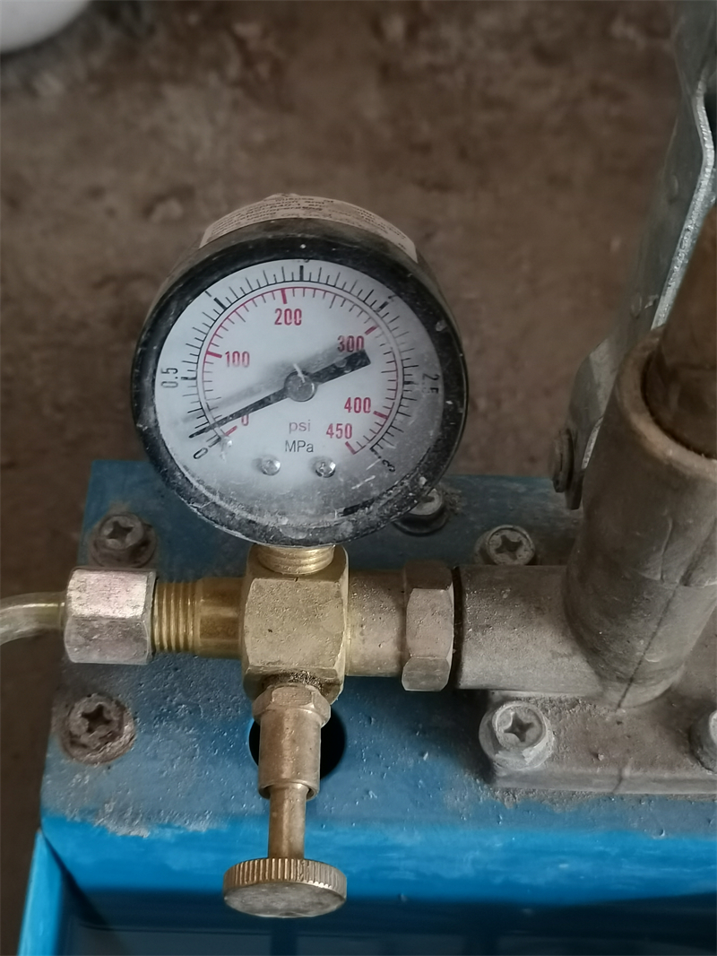 IMG_20241102_081039.jpg