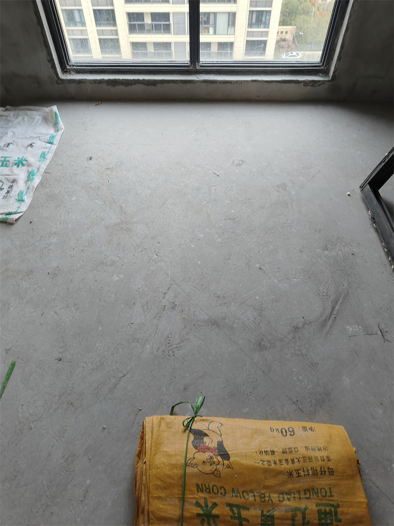 IMG20241029090615.jpg