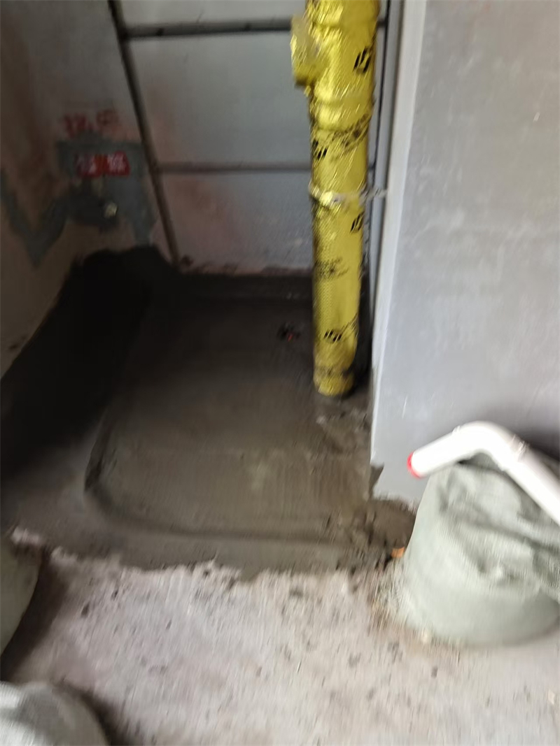 mmexport1730376167346.jpg