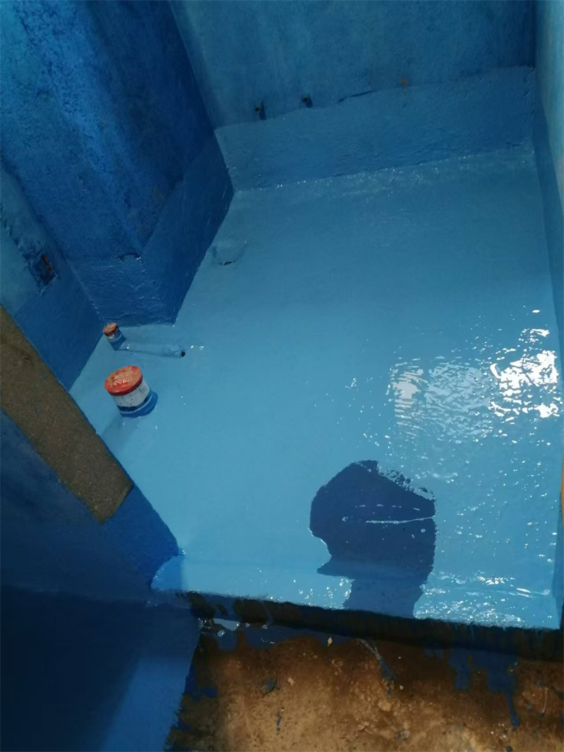 mmexport1730422796480.jpg