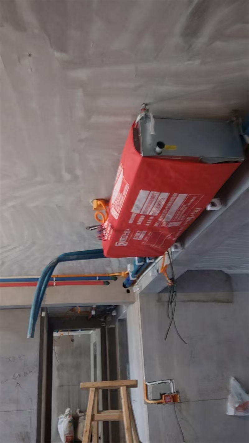 mmexport1730468571743.jpg
