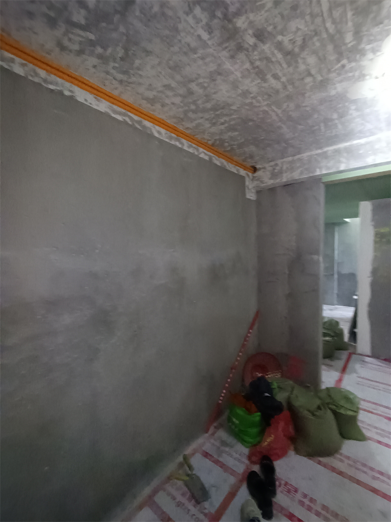 IMG_20241102_110630.jpg