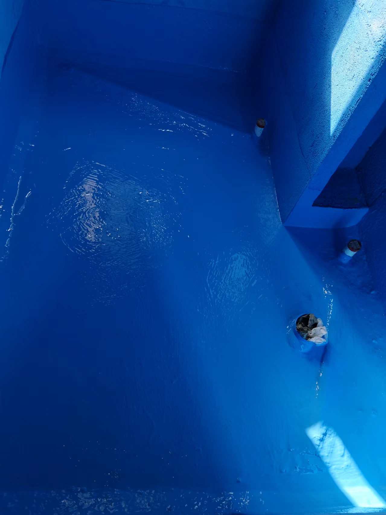 mmexport1729932082977.jpg
