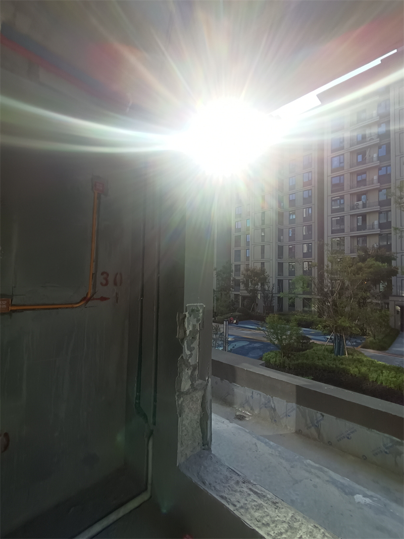 IMG_20241103_090445.jpg