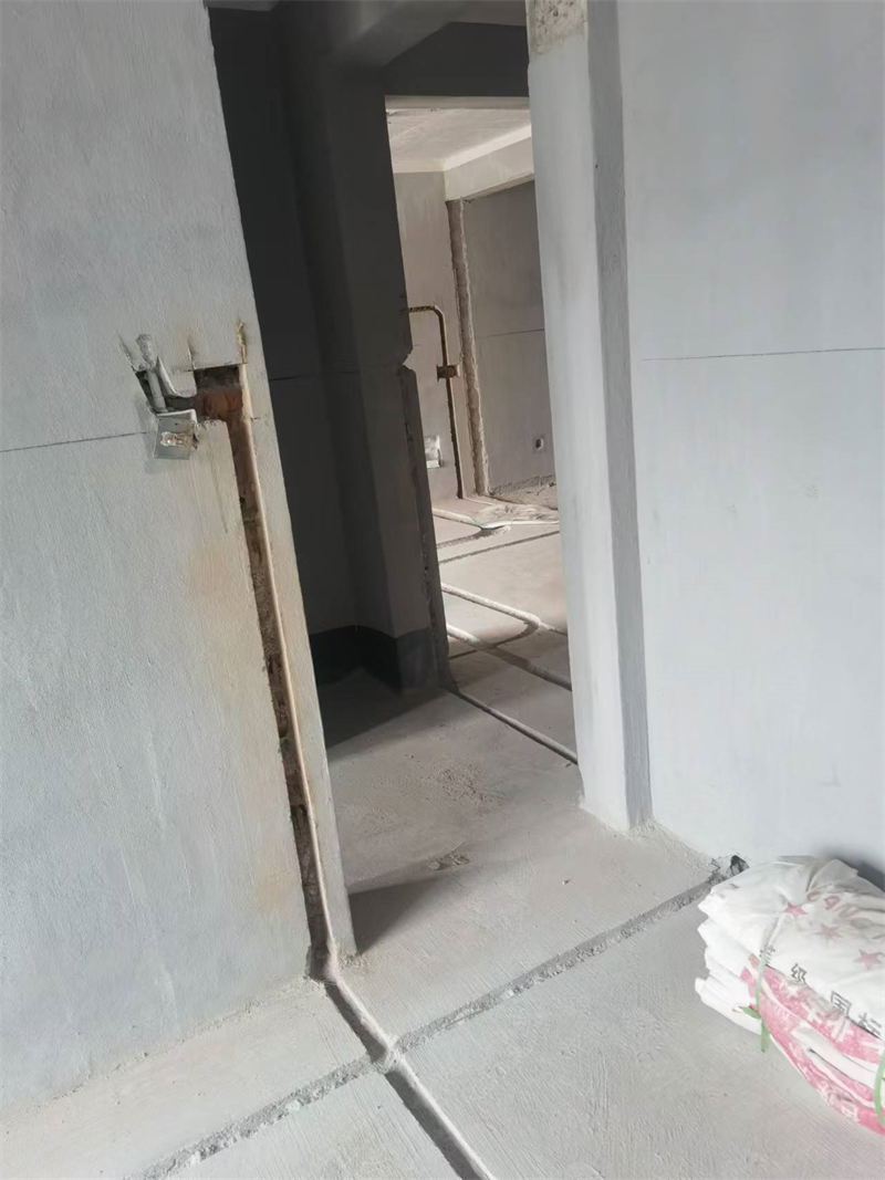 mmexport1730704605127.jpg