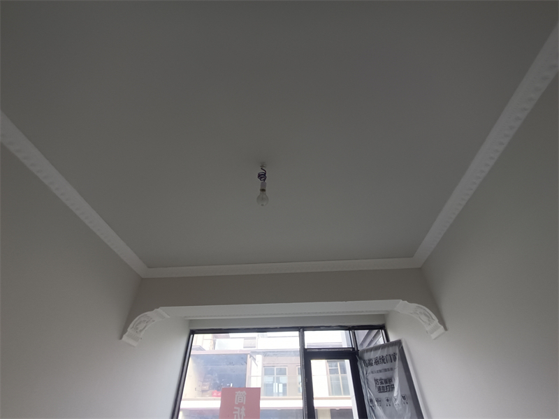 IMG_20241104_092411.jpg