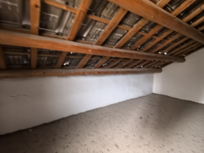 IMG_20241028_083856.jpg