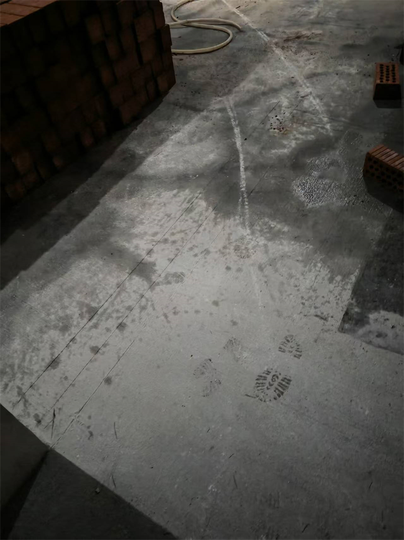 mmexport1730892691560.jpg