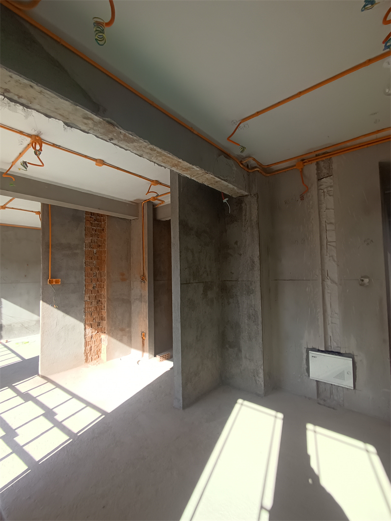 IMG_20241107_093509.jpg