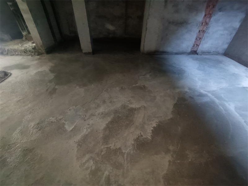 IMG_20241107_103526.jpg