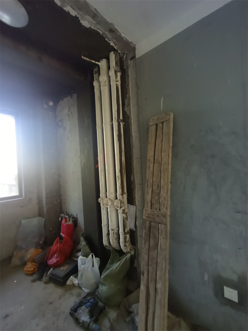IMG_20241107_103956.jpg