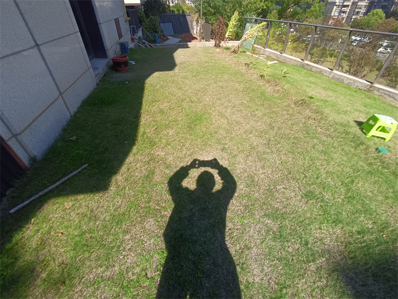 IMG_20241107_105326.jpg