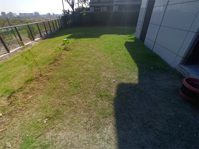 IMG_20241107_105342.jpg
