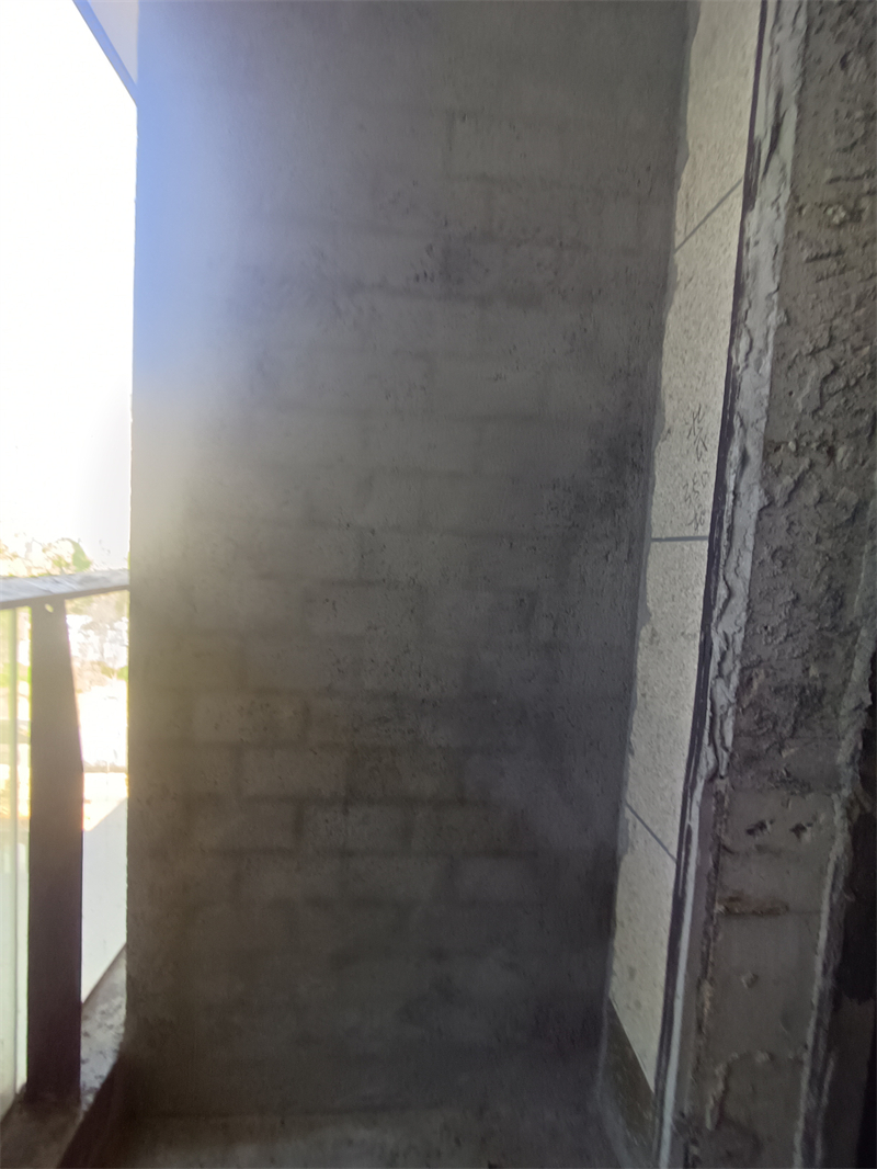 IMG_20241107_104752.jpg