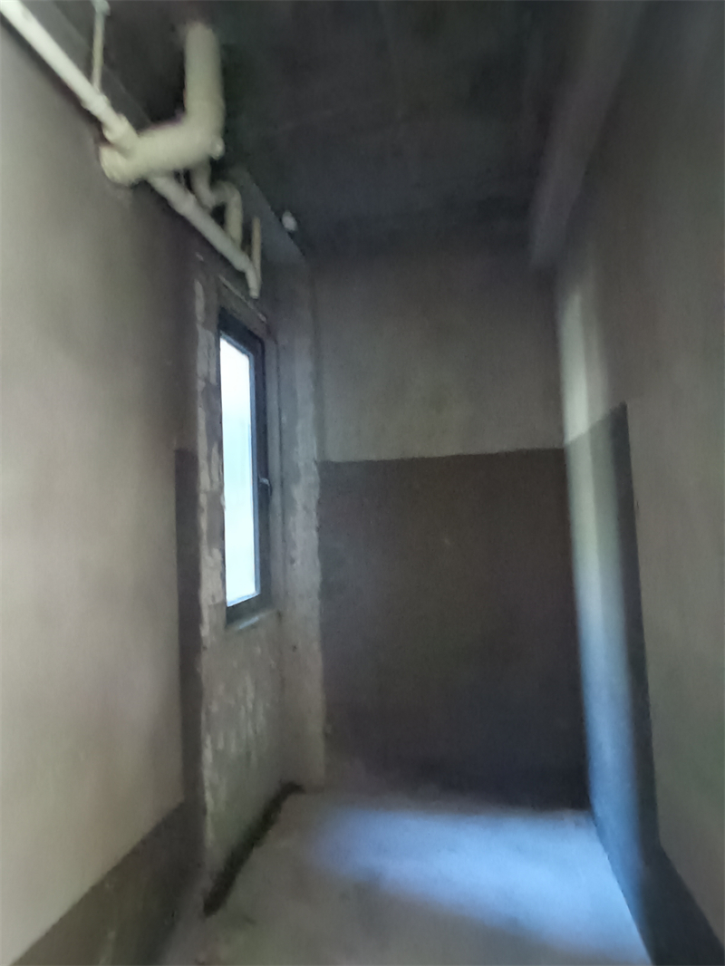 IMG_20241108_094154.jpg