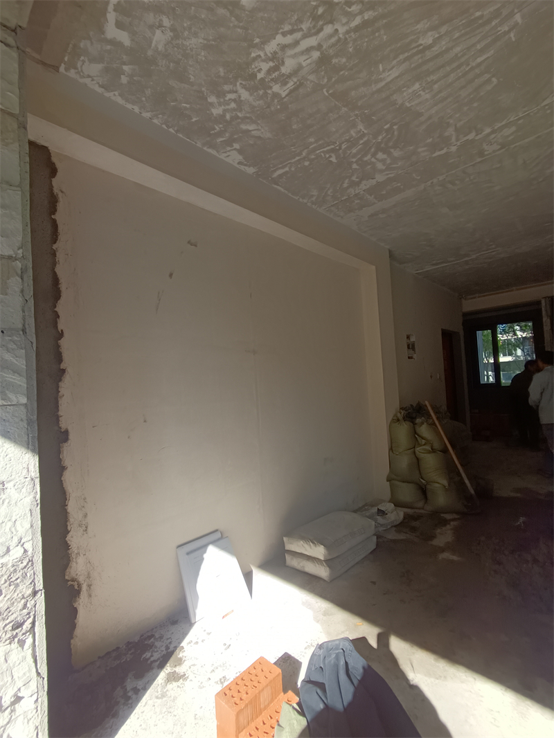 IMG_20241108_094544.jpg