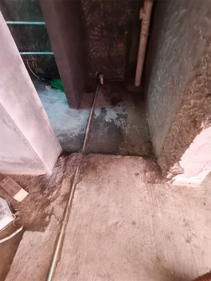 IMG_20241108_101939.jpg