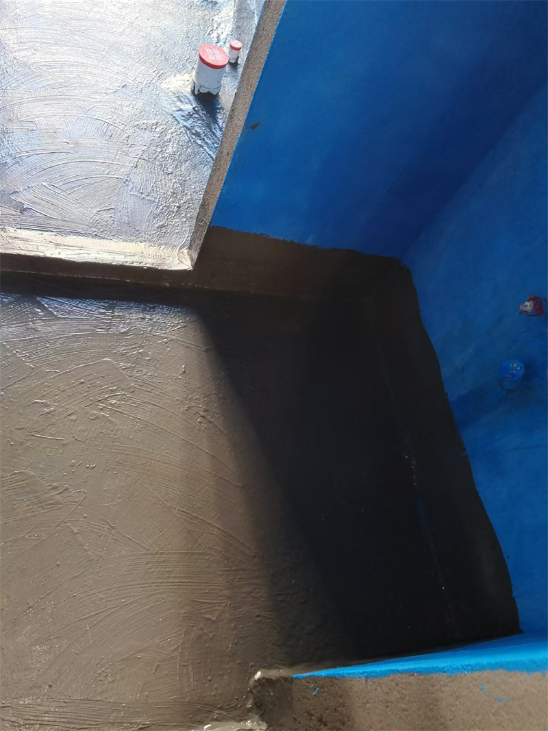 mmexport1731040947401.jpg