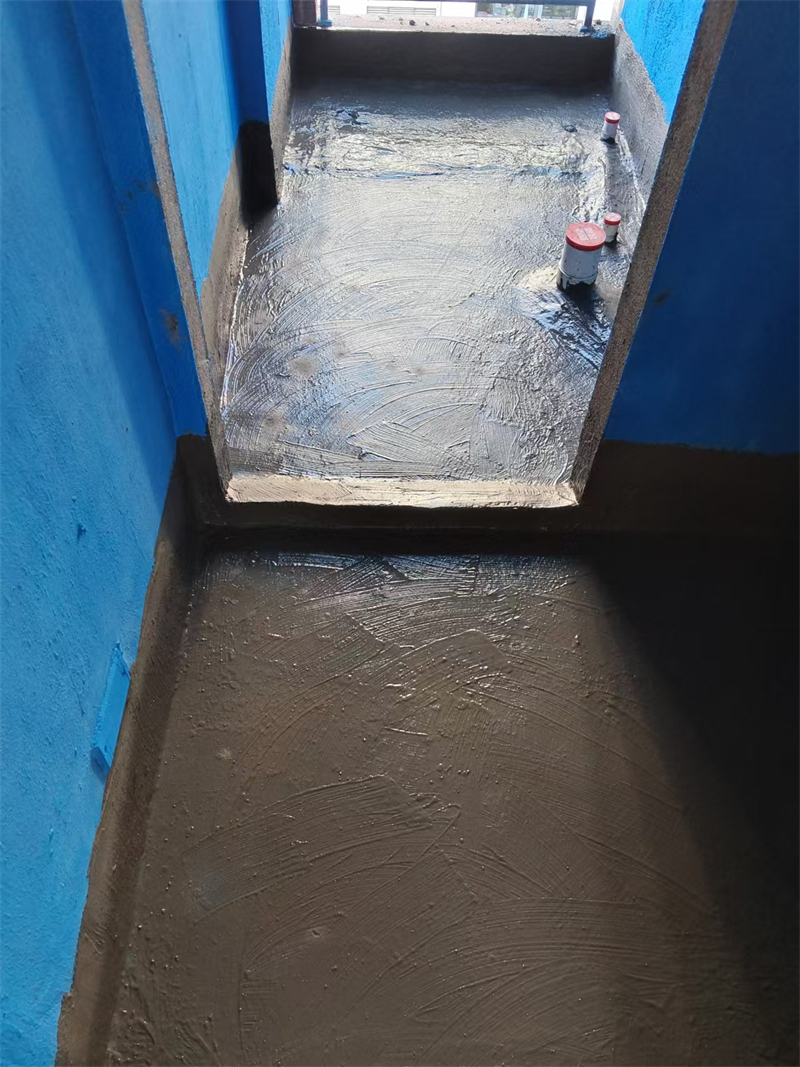 mmexport1731040949421.jpg