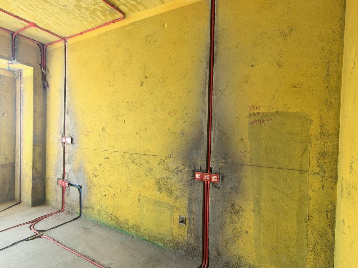 IMG_20241109_140321.jpg