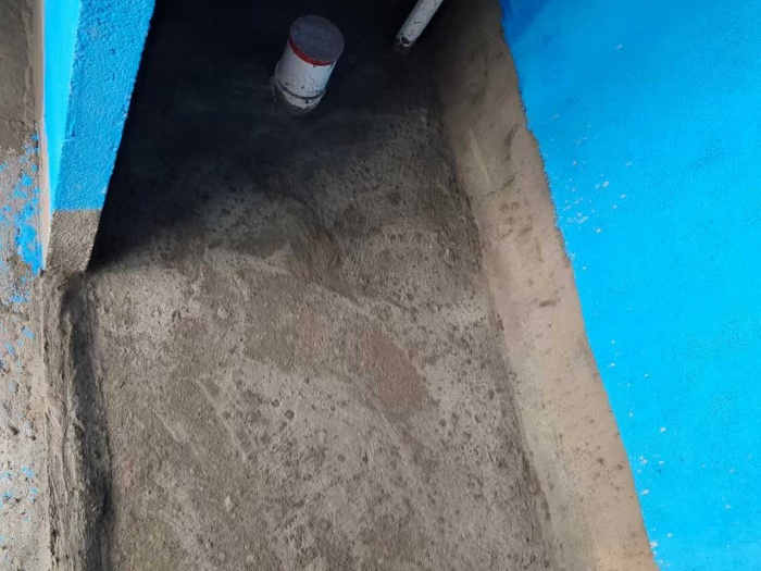 mmexport1731289378784.jpg