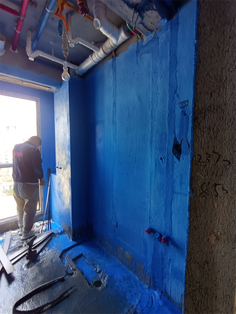 IMG_20241111_093413.jpg