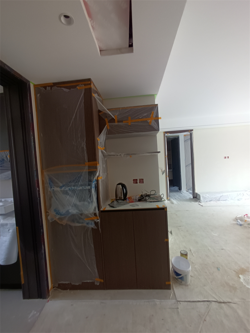 IMG_20241111_120800.jpg