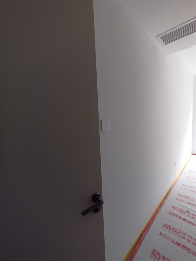 IMG_20241111_130231.jpg
