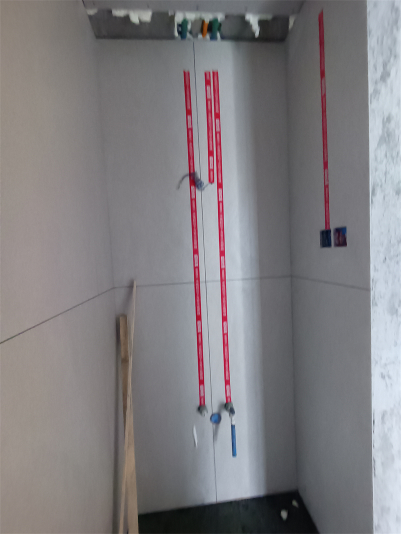 IMG_20241111_132252.jpg