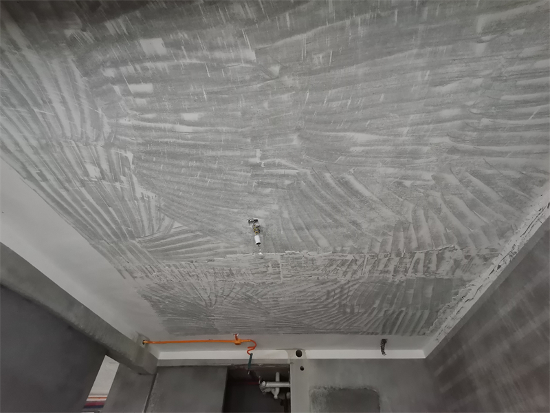 IMG_20241112_083504.jpg