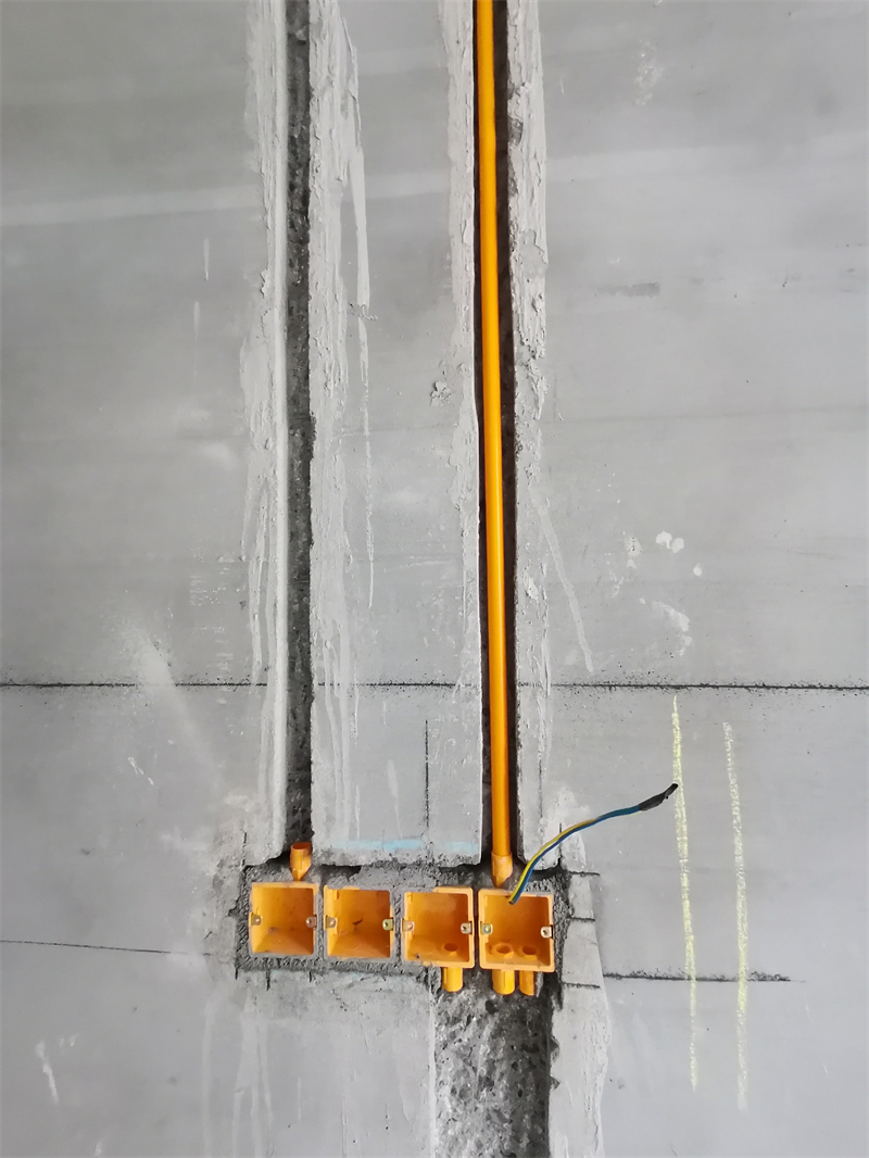 IMG_20241112_090555.jpg