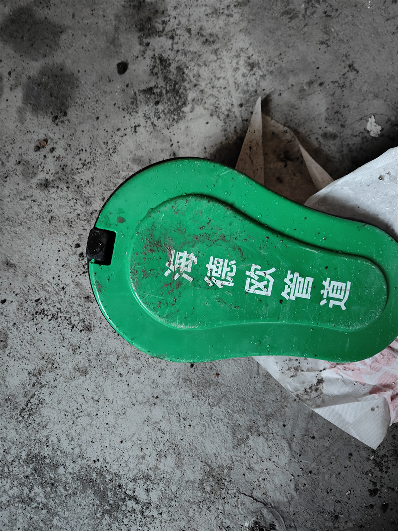 IMG20241112090446.jpg