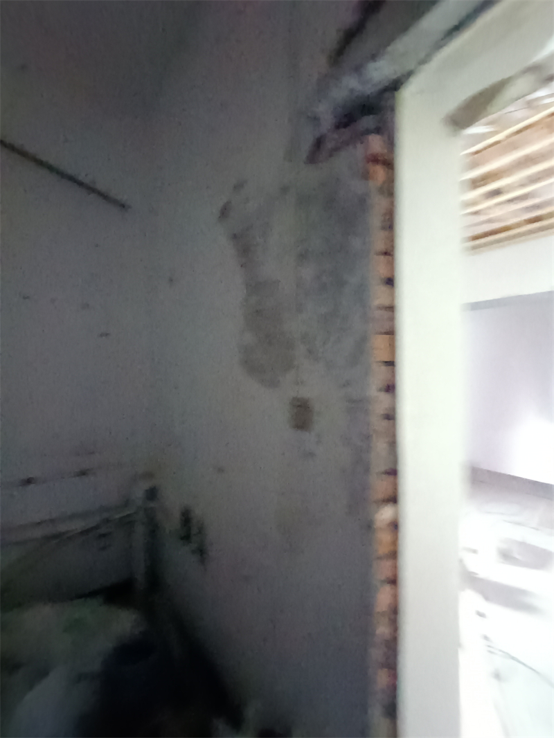 IMG_20241108_090336.jpg