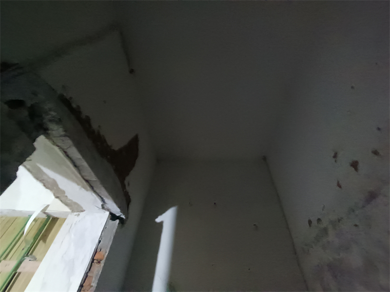 IMG_20241108_090342.jpg