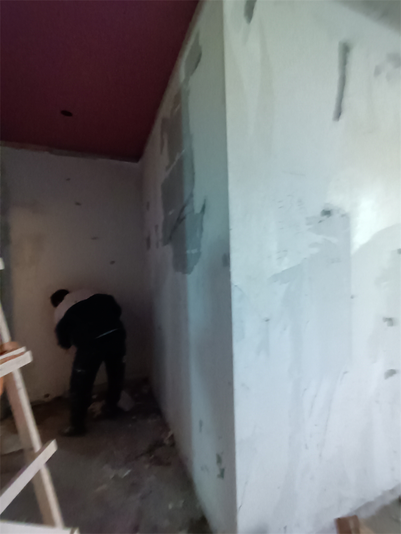 IMG_20241111_104340.jpg