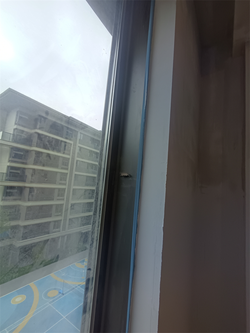 IMG_20241112_105850.jpg