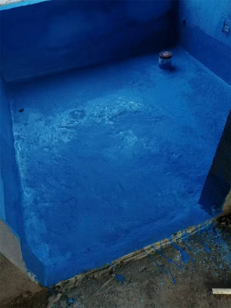 mmexport1731413891870.jpg