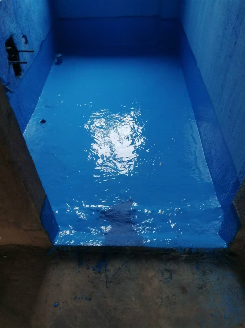 mmexport1731413846099.jpg
