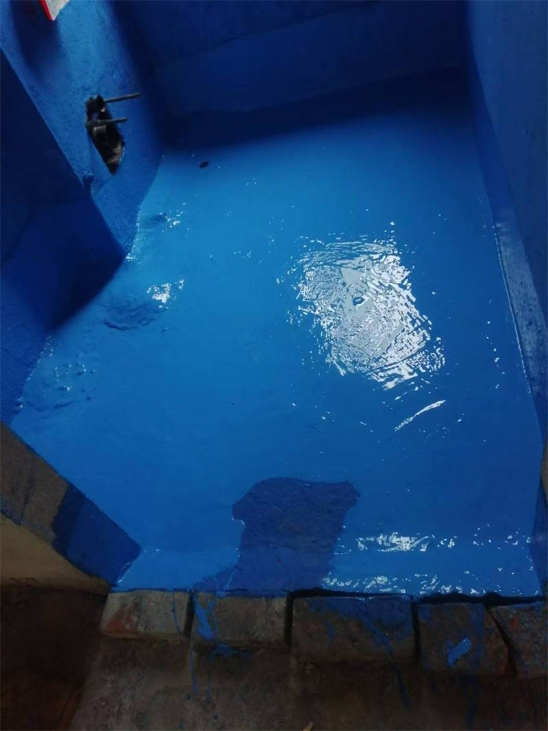 mmexport1731413850611.jpg