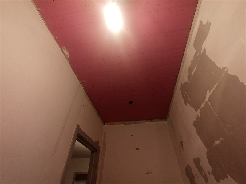 IMG_20241113_084921.jpg
