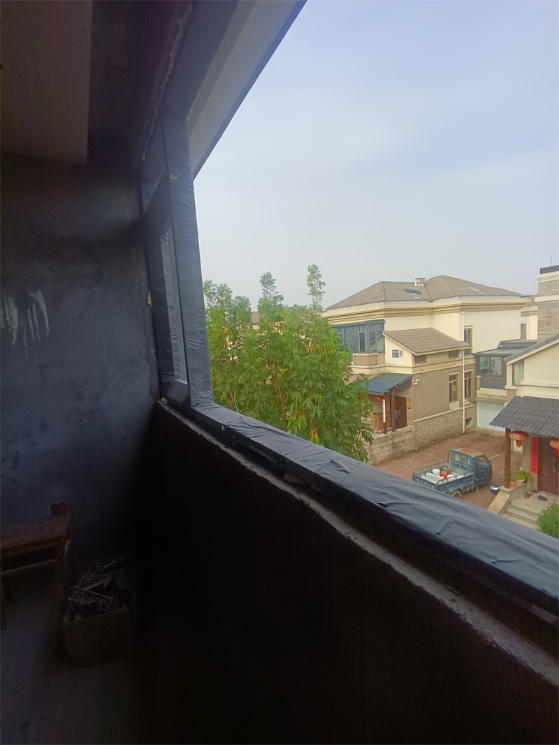 IMG_20241113_094231.jpg